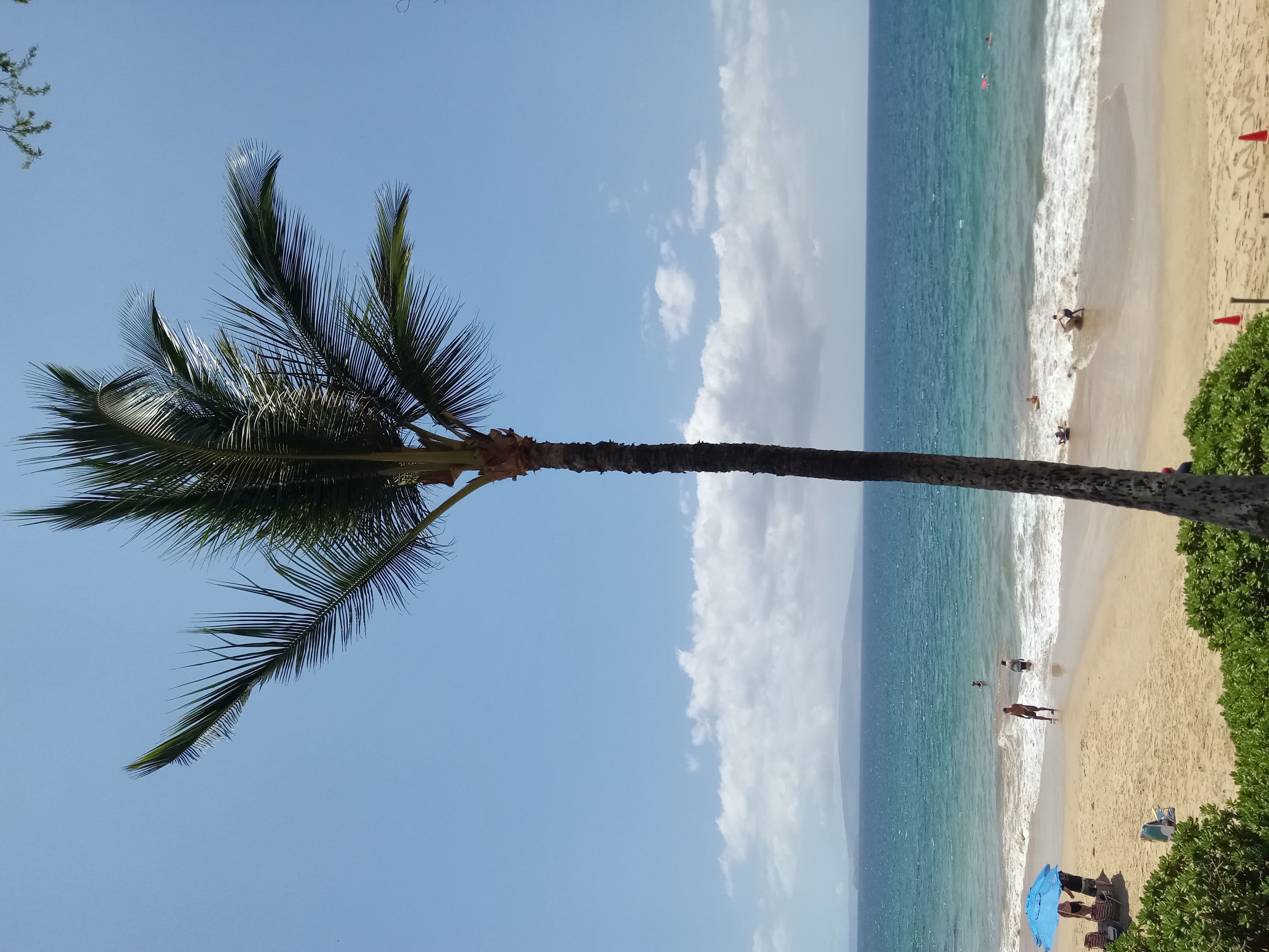post photo
