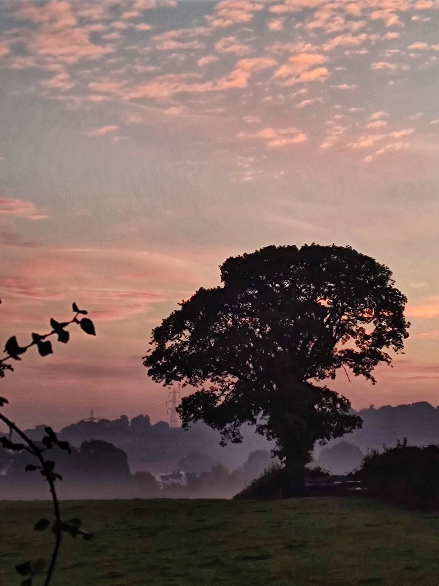 Excellent sunrise. Good morning!