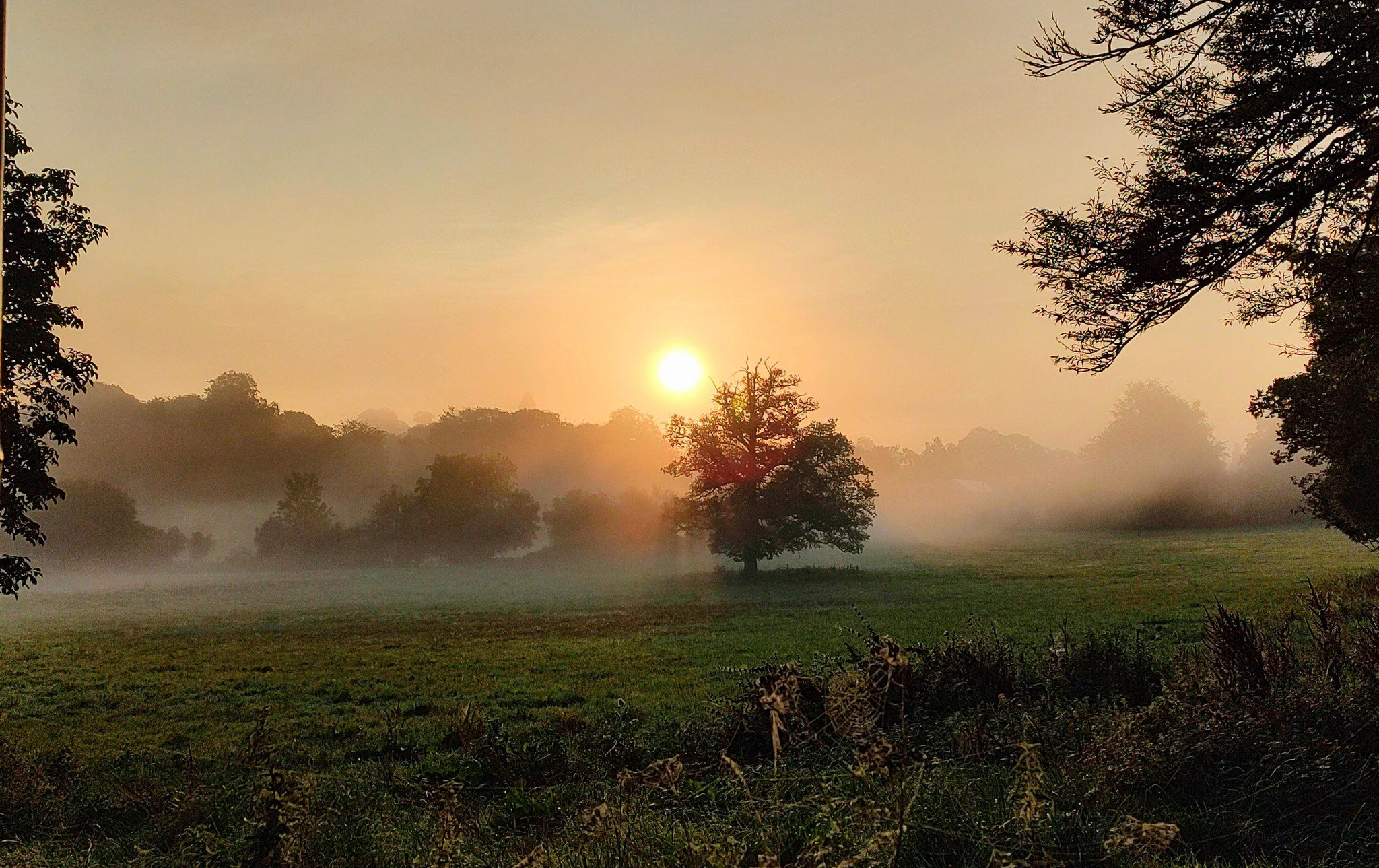 Good morning Happy Wednesday!