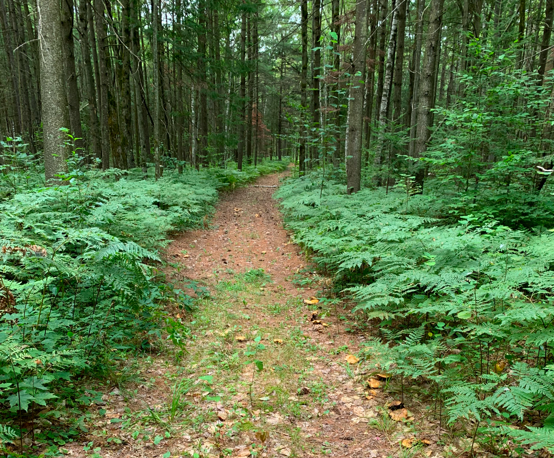 Ericdesenneville